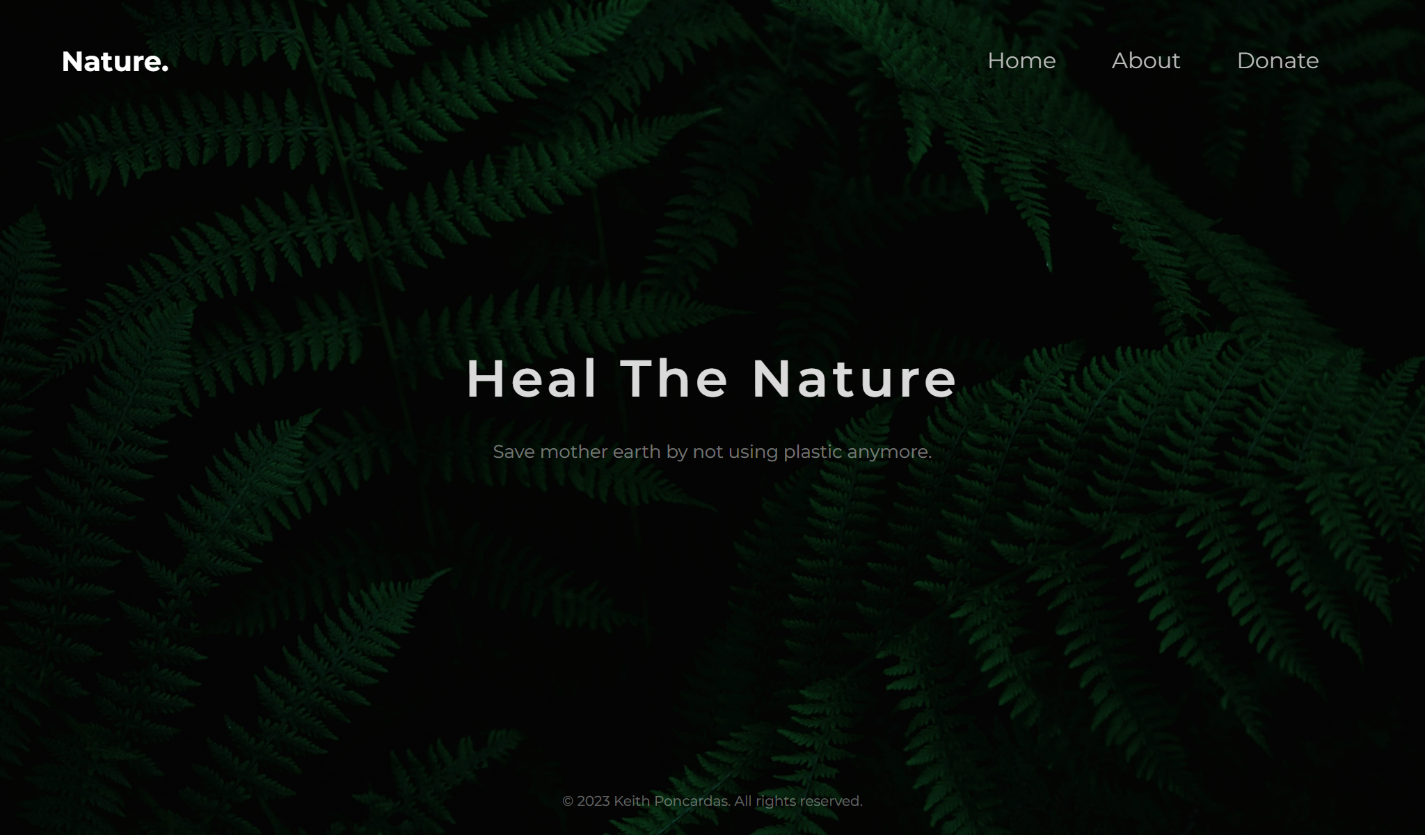Project 3 : Nature